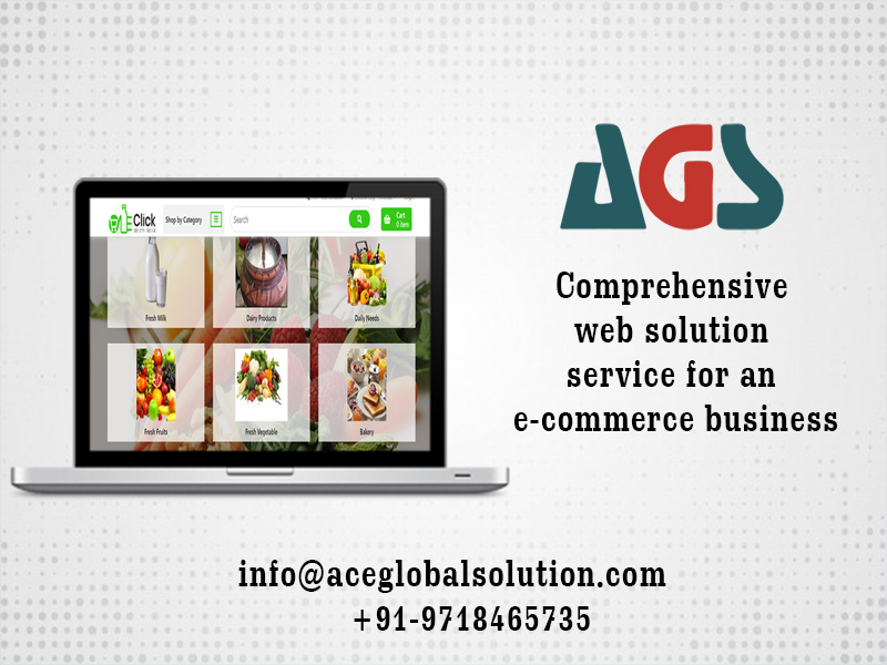 Comprehensive Web Solution Service for an E-commerce Business